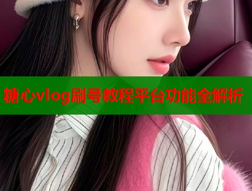 糖心vlog刷号教程平台功能全解析