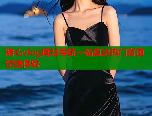 糖心vlog网址导航一站直达热门资源快速体验  第2张