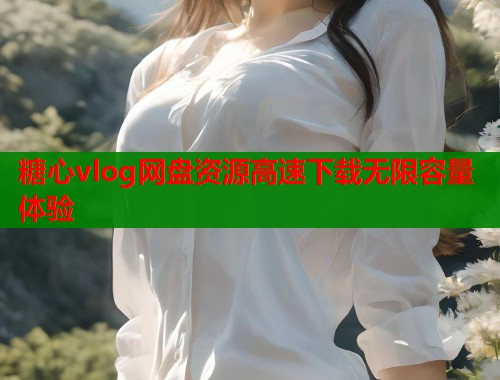 糖心vlog网盘资源高速下载无限容量体验  第1张