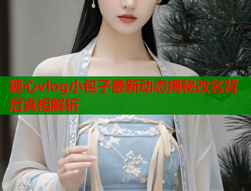 糖心vlog小包子最新动态揭秘改名背后真相解析  第1张
